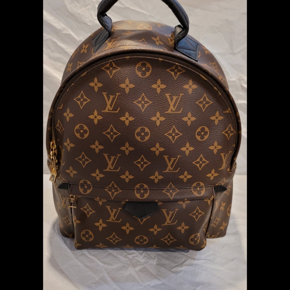 Louis Vuitton Palm Springs Backpack